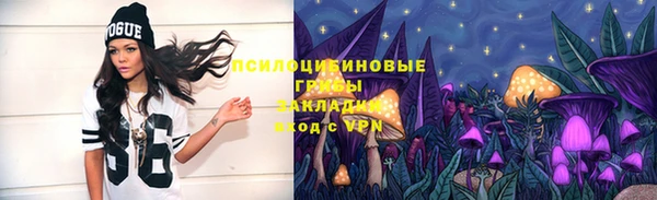 дживик Россошь