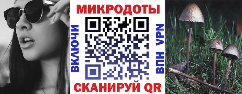 Псилоцибиновые грибы мухоморы  дарнет шоп  Мамадыш 